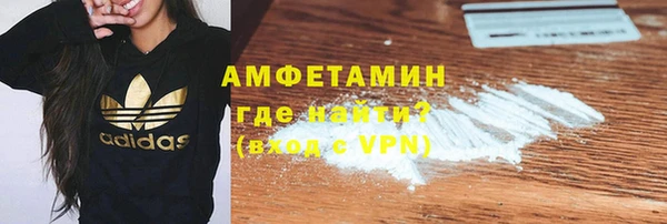 шишки Корсаков