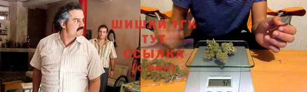 прущие грибы Коряжма