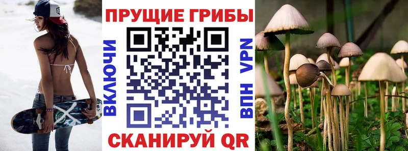 блэк спрут tor  Магадан  сайты даркнета наркотические препараты  Псилоцибиновые грибы прущие грибы 