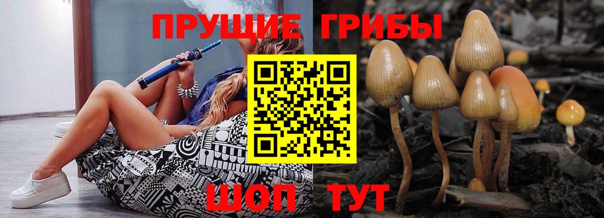 Галлюциногенные грибы мухоморы Магадан
